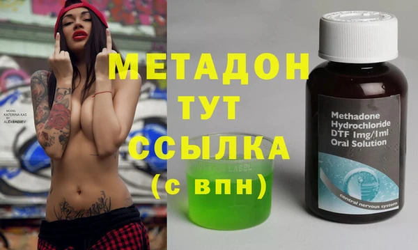 индика Вязьма