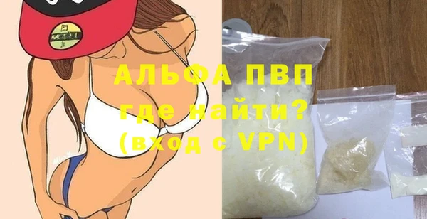 прущие грибы Вяземский